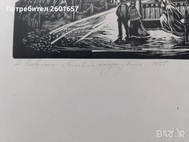 Красива стара литография 1865 г., снимка 4 - Картини - 52056403