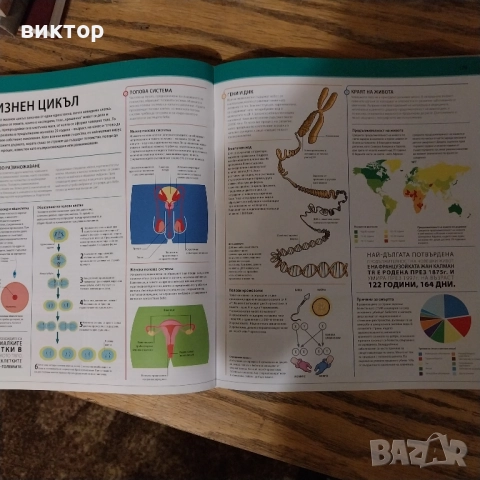 енциклопедия, снимка 3 - Енциклопедии, справочници - 51954744