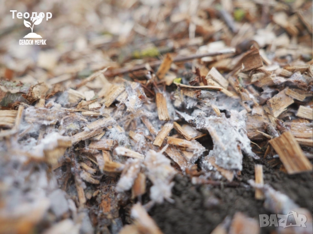 Широколистен чипс за градини, овошки и лехи – доставка с камион, снимка 6 - Тор и почвени смеси - 52252587