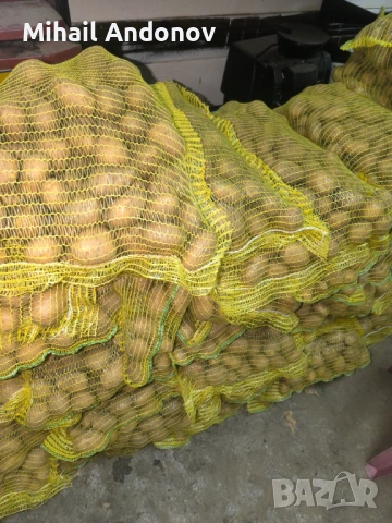 Родопски картофи за комсумация