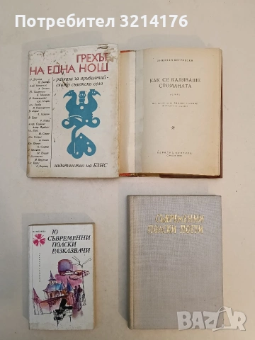 Грехът на една нощ - Сборник