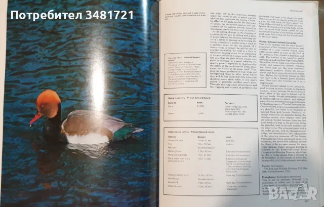 Голяма ловна енциклопедия / The International Encyclopedia of Shooting, снимка 12 - Енциклопедии, справочници - 49760438