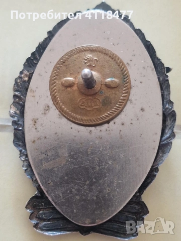 Парашутистка значка медал орден , снимка 4 - Антикварни и старинни предмети - 53379366