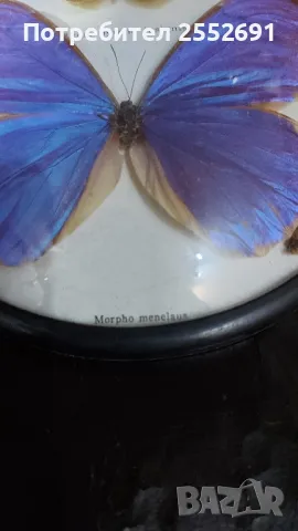 Декорация , снимка 2 - Други - 48543544