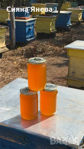 Истински Пчелен Мед, снимка 7 - Пчелни продукти - 35354944