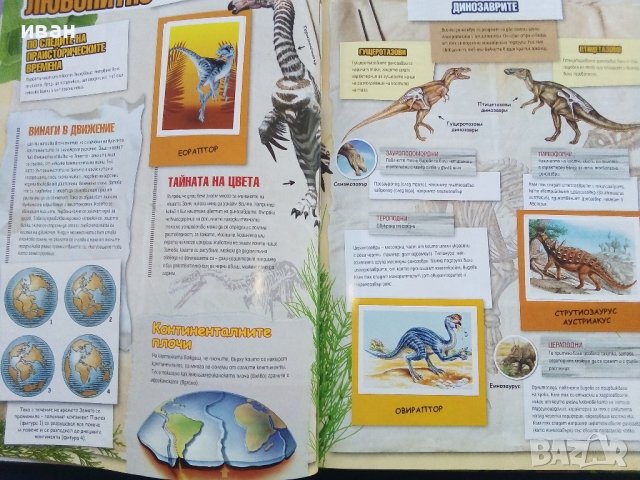 Стикер- албум "Праисторически времена" - Била - 2012г., снимка 8 - Колекции - 39309708