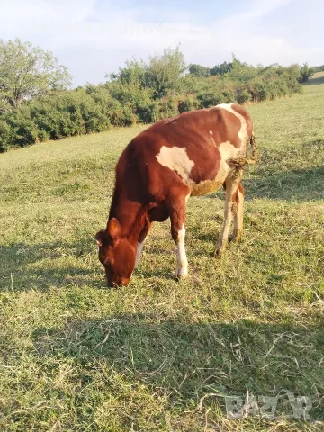 Продавам две юници