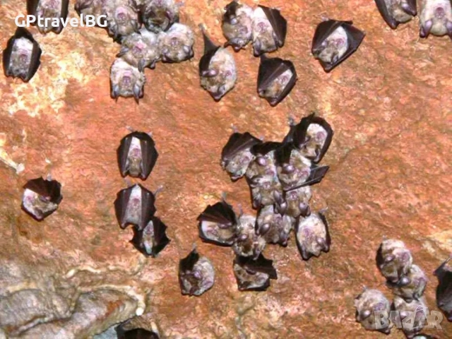 Съева Дупка и Тетевен, снимка 4 - Автобусни екскурзии - 52663775