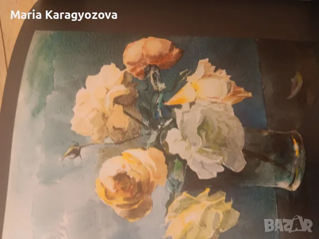 Константин Щъркелов, Самотникът ск, снимка 8 - Специализирана литература - 55980474