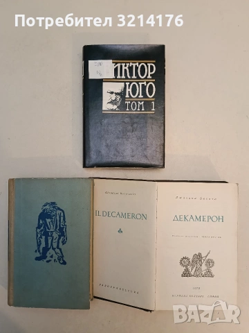 Парижката Света Богородица - Виктор Юго