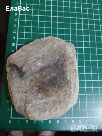 Подаръчна кутия книга от картон, снимка 4 - Ръчно изработени сувенири - 52106005