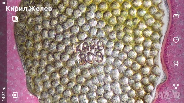 THERMAL BAD FUSSING СТАРА ЕМАЙЛИРАНА КОЛЕКЦИОНЕРСКА ДЕСЕРТНА СРЕБЪРНА ВИЛИЧКА СРЕБРО KARO 800 42983, снимка 3 - Колекции - 44376167