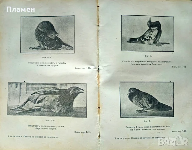 Основи на науката за храненето. Лекции Асенъ Златаровъ /1921/, снимка 3 - Антикварни и старинни предмети - 56163017