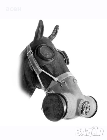 Противогази за коне 