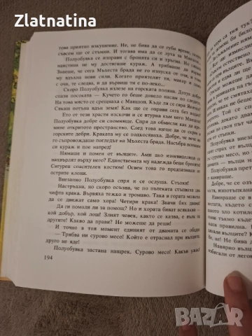 И отново Маншон, Полуобувка и мъхеста брада, снимка 3 - Детски книжки - 53260650