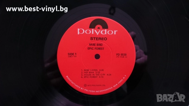Грамофонна Плоча (Rare Bird - Epic Forest), снимка 3 - Грамофонни плочи - 52771527