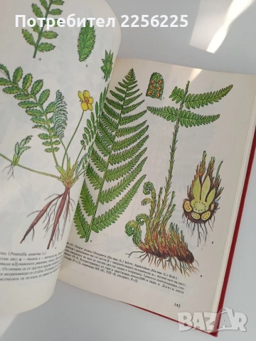 Атлас на лечебните растения в България, снимка 8 - Специализирана литература - 53155081