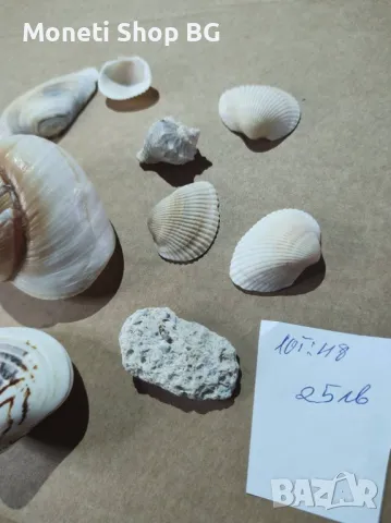 Океански дарове, снимка 7 - Други ценни предмети - 48931197