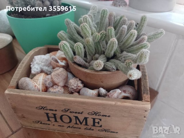 дървено сандъче, снимка 2 - Декорация за дома - 40307337