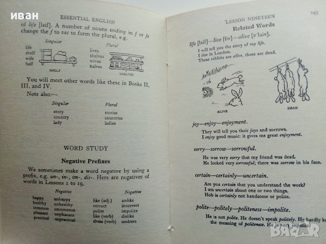 Essential English for foreign students  Book 1 - C.E.Eckersley - 1965г., снимка 5 - Чуждоезиково обучение, речници - 41418707