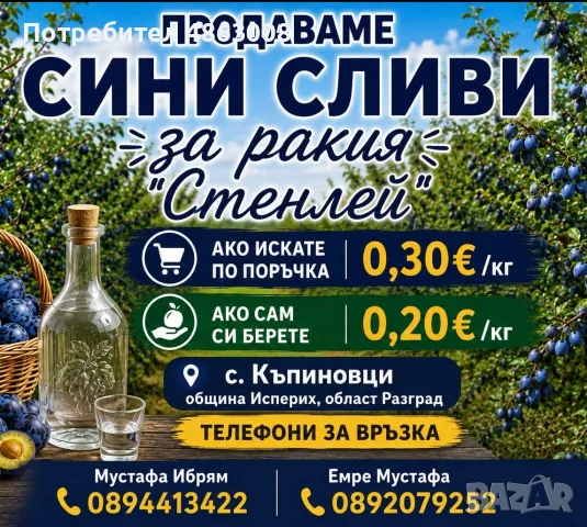 Сини сливи за ракия 