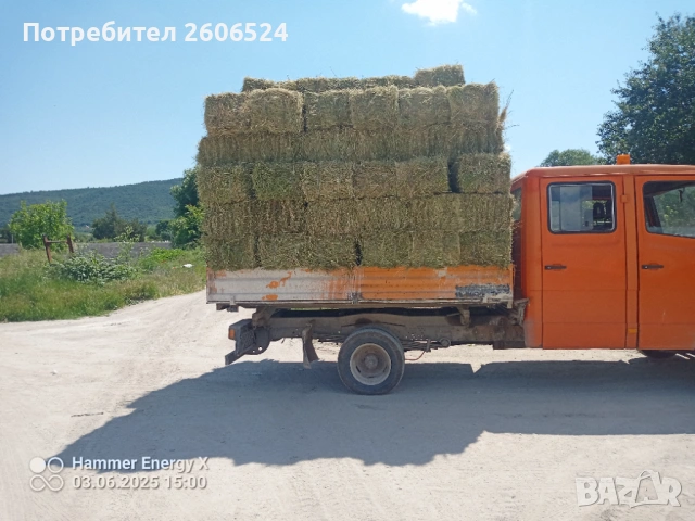 Малки бали сено и люцерна , снимка 6 - Крави - 53236528