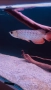Arowana golden crossback, снимка 1