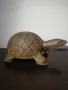 Много красива фигурка на костенурка от дърво. , снимка 2