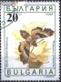 Клеймована марка Фауна Пеперуда 1990 от България, снимка 1 - Филателия - 35728130