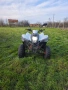 ATV Luxxon 300, снимка 1