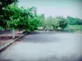 Производствено/складово помещение с двор, снимка 3