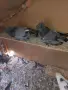 4 работещи двойки излишни, снимка 2