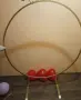 Арка под наем за парти и рожден ден!, снимка 6