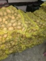 Родопски картофи за комсумация, снимка 1