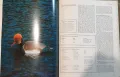 Голяма ловна енциклопедия / The International Encyclopedia of Shooting, снимка 12