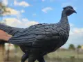 Бронзова статуетка Фазан Франция , снимка 9
