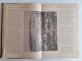 Искра Научно-литературно списание 1891 г. 700 страници от бр. 1 до бр. 12 Твърди корици, снимка 7