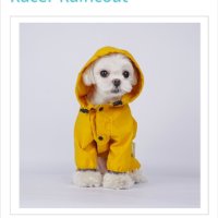 Кучешки дъждобран, гащеризон на марката Pet London, размер М, снимка 3 - За кучета - 44373029