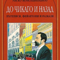 До Чикаго и назад, снимка 1 - Детски книжки - 12330508