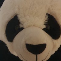 Голяма мечка панда, снимка 6 - Рисуване и оцветяване - 42222112