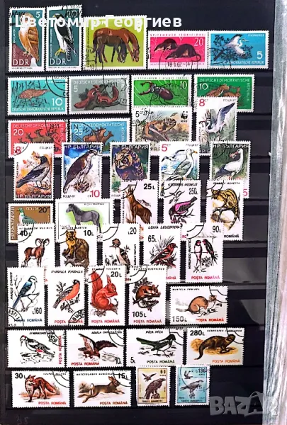 Животни 158бр.марки К.1, снимка 1