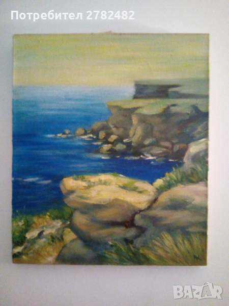 Морски пейзаж, снимка 1