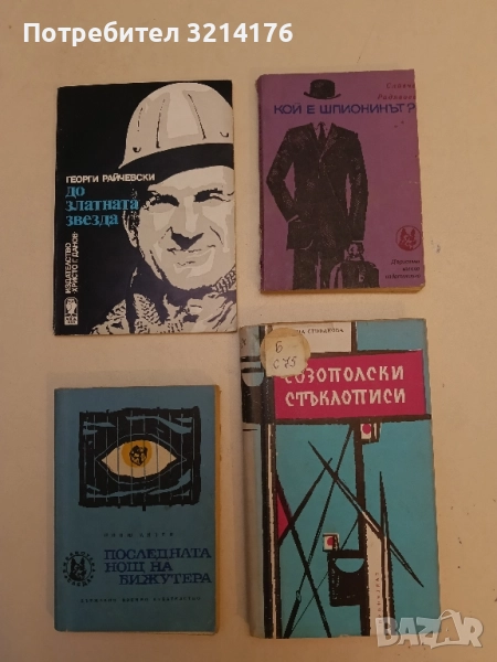 Созополски стъклописи. Размисли, портрети и скици - Невена Стефанова, снимка 1