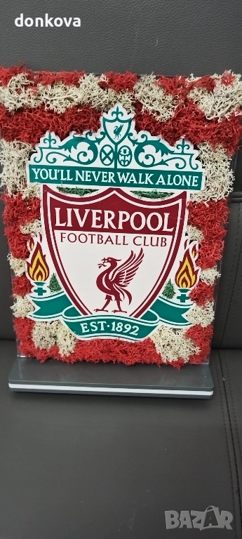 декорации от жив скандинавски мъх , снимка 1