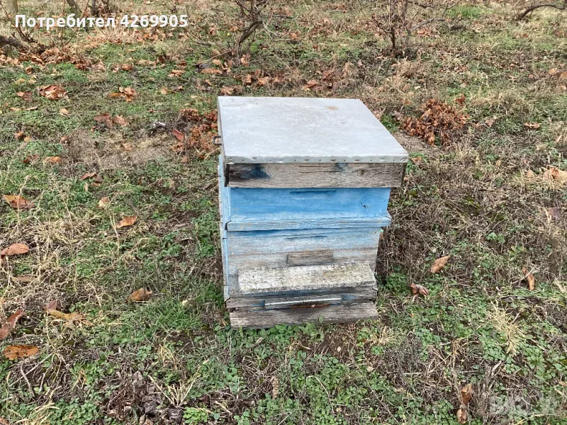 Pchelni kosheri, снимка 1