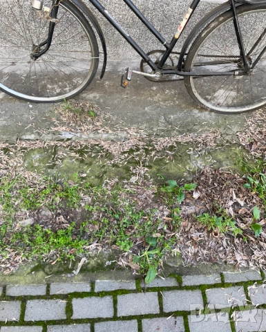 Ретро колело 50s-60s велосипед, снимка 4 - Велосипеди - 53613301