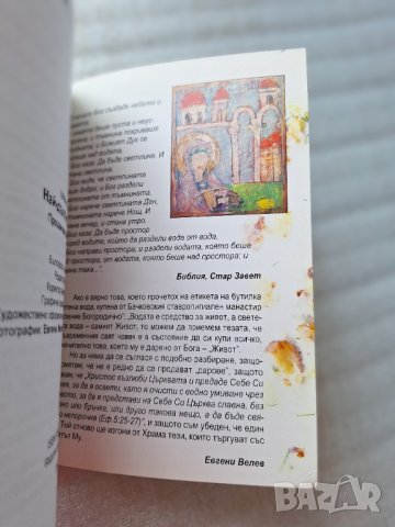 Най - дългият таратор - Евгени Велев, снимка 5 - Художествена литература - 44404525