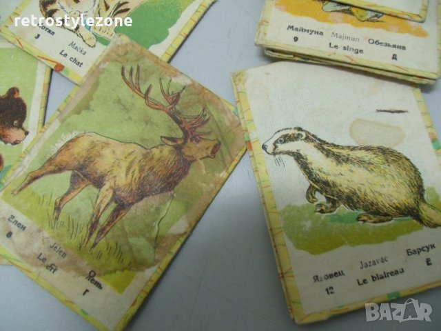№ 5978 стари детски карти / картинки   - картонени карти с картини на животни   - 19 броя   - размер, снимка 3 - Други ценни предмети - 35832619