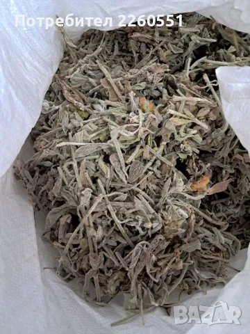 Мурсалски чай нарязан 