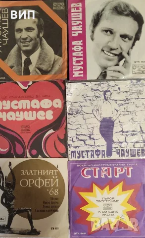 Лот от шест сингли, снимка 4 - Грамофонни плочи - 55811811